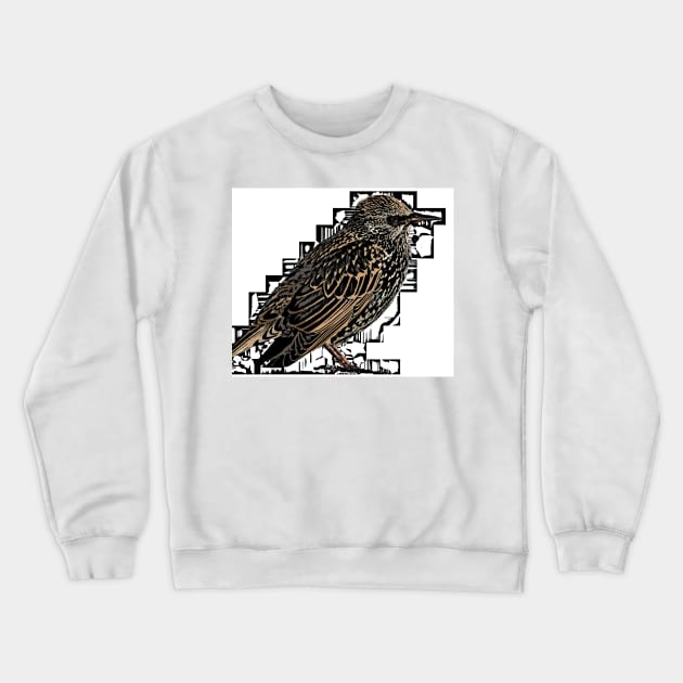 Norfolk sparrow Crewneck Sweatshirt by bywhacky